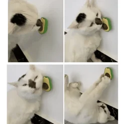 TailTrend Haustierspielzeug-Katzenminze-Avocado-Ball – Interaktives Selbstspielspielzeug für Katzen