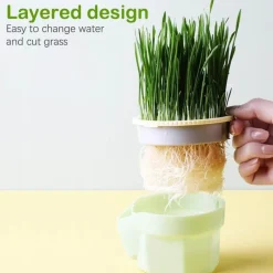 Furry Haven Haustierzubehör|Reinigungswerkzeuge Für Haustiere-Katzenminz-Pflanzgefäß - Kräuter-Snacktopf für Katzen