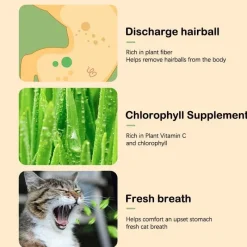 Furry Haven Haustierzubehör|Reinigungswerkzeuge Für Haustiere-Katzenminz-Pflanzgefäß - Kräuter-Snacktopf für Katzen