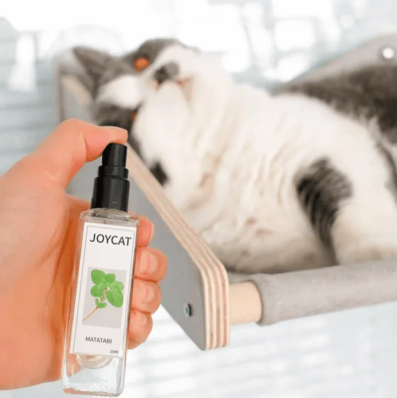 TailTrend Haustierspielzeug-Katzentrinkbrunnen – Automatischer Trinkspender für Haustiere für frische Flüssigkeit