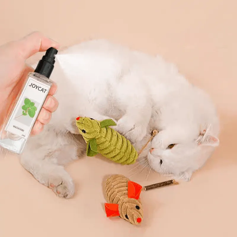 TailTrend Haustierspielzeug-Katzentrinkbrunnen – Automatischer Trinkspender für Haustiere für frische Flüssigkeit