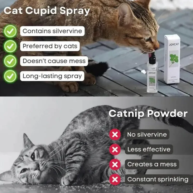 TailTrend Haustierspielzeug-Katzentrinkbrunnen – Automatischer Trinkspender für Haustiere für frische Flüssigkeit