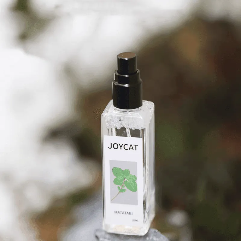 TailTrend Haustierspielzeug-Katzentrinkbrunnen – Automatischer Trinkspender für Haustiere für frische Flüssigkeit