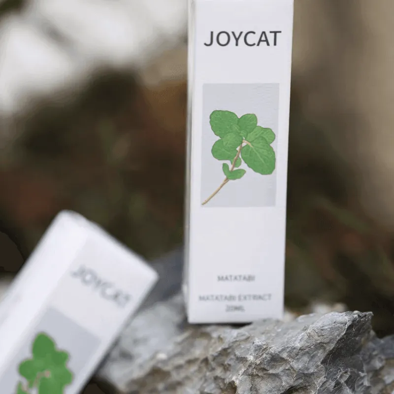 TailTrend Haustierspielzeug-Katzentrinkbrunnen – Automatischer Trinkspender für Haustiere für frische Flüssigkeit