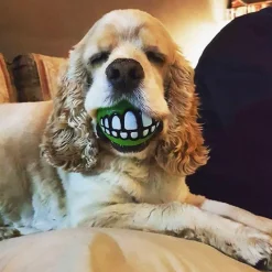 TailTrend Haustierzubehör|Haustierspielzeug-Kauspielzeug für Hunde mit Smiley-Motiv aus Gummi – Lustiges Kauspielzeug für Haustiere