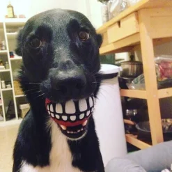 TailTrend Haustierzubehör|Haustierspielzeug-Kauspielzeug für Hunde mit Smiley-Motiv aus Gummi – Lustiges Kauspielzeug für Haustiere