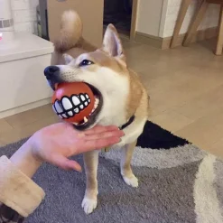 TailTrend Haustierzubehör|Haustierspielzeug-Kauspielzeug für Hunde mit Smiley-Motiv aus Gummi – Lustiges Kauspielzeug für Haustiere