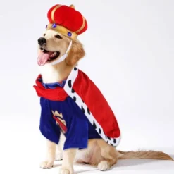 Decor Haustierzubehör|Reinigungswerkzeuge Für Haustiere-Königskostüm für Haustiere – Entzückendes königliches Outfit für Hunde und Katzen