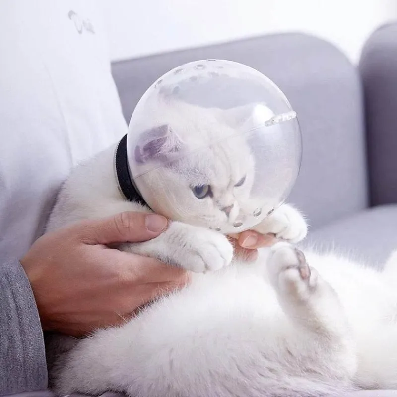 Furendo Haustierzubehör|Reinigungswerkzeuge Für Haustiere-Kopfbedeckung zur Katzenpflege – Sicherheitswerkzeug gegen Bisse