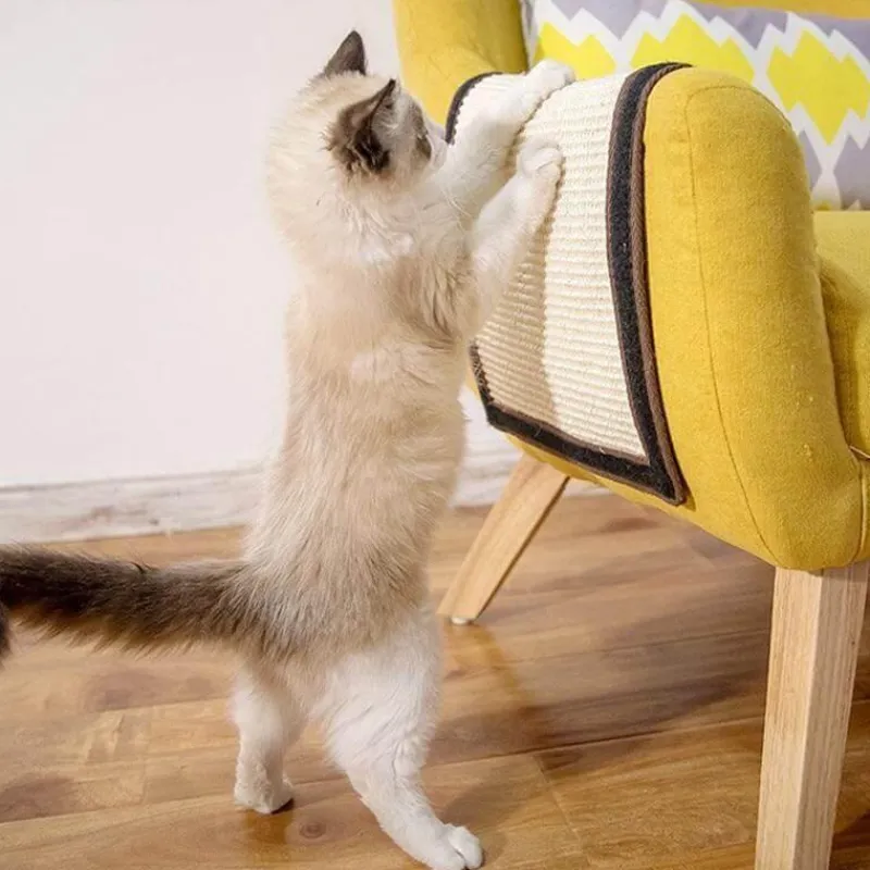 Decor Haustierzubehör-Kratzbrett für Haustiercouch – Möbelschutzkratzer