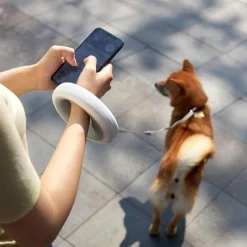 Decor Haustierzubehör-LED-Hundeleine – Leuchtendes Haustierhalsband-Zubehör