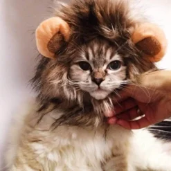 Decor Haustierzubehör-Löwenkatzenperücke - Lustiges Tierkostüm-Accessoire