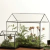 Willow u0026 Whim Wohndeko-Mini-Gewächshaus-Terrarium – Tisch-Pflanzendisplay