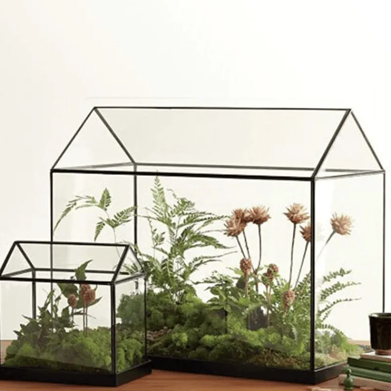 Willow u0026 Whim Wohndeko-Mini-Gewächshaus-Terrarium – Tisch-Pflanzendisplay