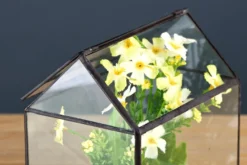 Willow u0026 Whim Wohndeko-Mini-Gewächshaus-Terrarium – Tisch-Pflanzendisplay