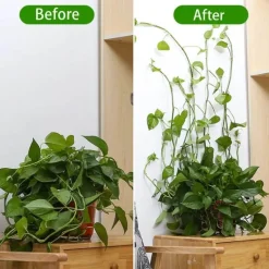 Adventure Basecamp Camping Im Freien|Outdoor-Artikel-Mini-Pflanzen-Wandclips – selbstklebende Pflanzenhalter für den Innenbereich