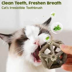 TailTrend Haustierspielzeug-Natürlicher Katzenminzball – Lustiges, gesundes Katzenspielzeug