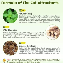 TailTrend Haustierspielzeug-Natürlicher Katzenminzball – Lustiges, gesundes Katzenspielzeug