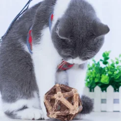 TailTrend Haustierspielzeug-Natürlicher Katzenminzball – Lustiges, gesundes Katzenspielzeug