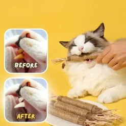 TailTrend Haustierspielzeug-Natürliches Baby-Beißspielzeug-Set – 5-teilige Kollektion zur Beruhigung und Linderung