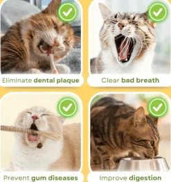 TailTrend Haustierspielzeug-Natürliches Baby-Beißspielzeug-Set – 5-teilige Kollektion zur Beruhigung und Linderung