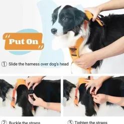 Furendo Haustierzubehör|Reinigungswerkzeuge Für Haustiere-No-Pull-Hundegeschirr – Verstellbare, bequeme Trainingsleine