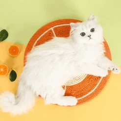 TailTrend Haustierspielzeug-Orangefarbenes Katzenkratzbrett – spannendes Spielzeug für verspielte Katzen