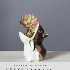 Cozy Nest Decor Wohndeko-Pflanzgefäße aus Keramik in Froschform – Niedliche Gartendekoration für den Außenbereich