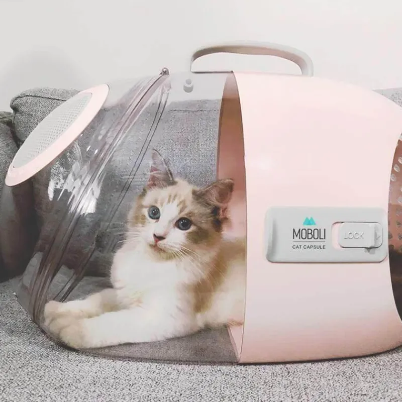 Decor Haustierzubehör-Reisekapsel für Haustiere – atmungsaktive, tragbare Transportbox für Katzen und Hunde