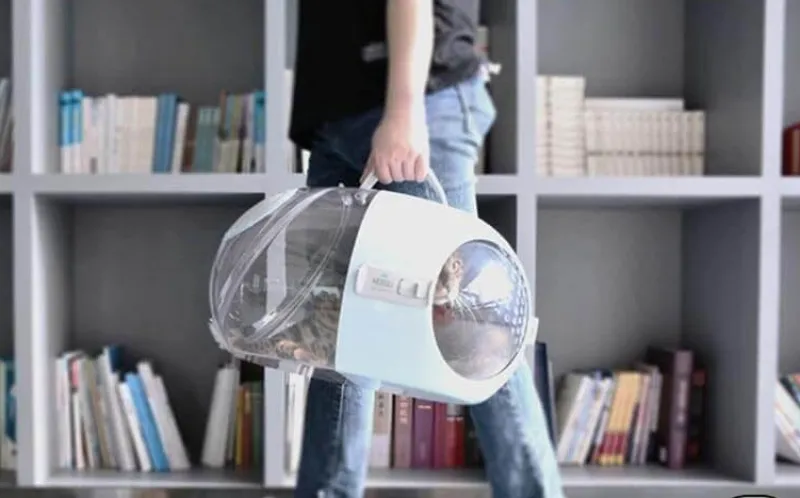 Decor Haustierzubehör-Reisekapsel für Haustiere – atmungsaktive, tragbare Transportbox für Katzen und Hunde