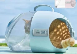 Decor Haustierzubehör-Reisekapsel für Haustiere – atmungsaktive, tragbare Transportbox für Katzen und Hunde