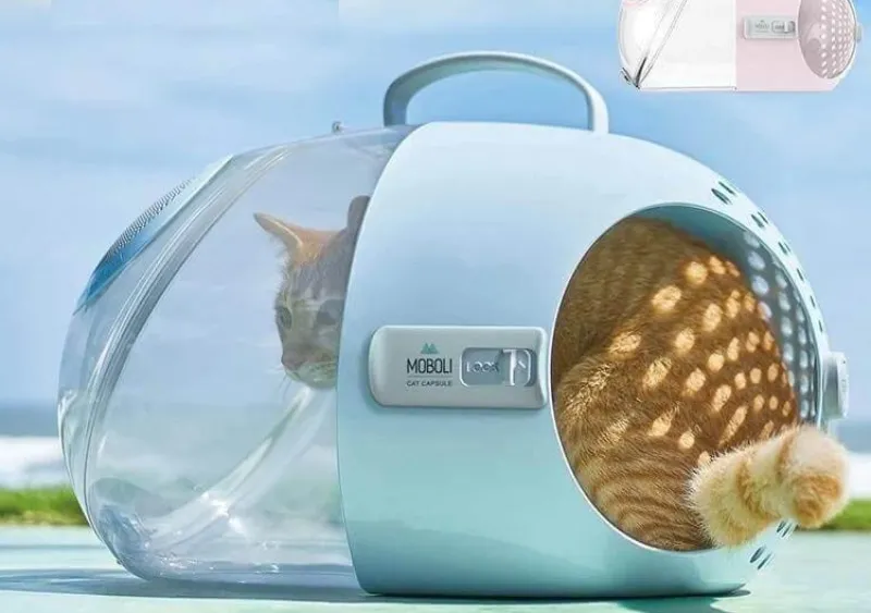 Decor Haustierzubehör-Reisekapsel für Haustiere – atmungsaktive, tragbare Transportbox für Katzen und Hunde