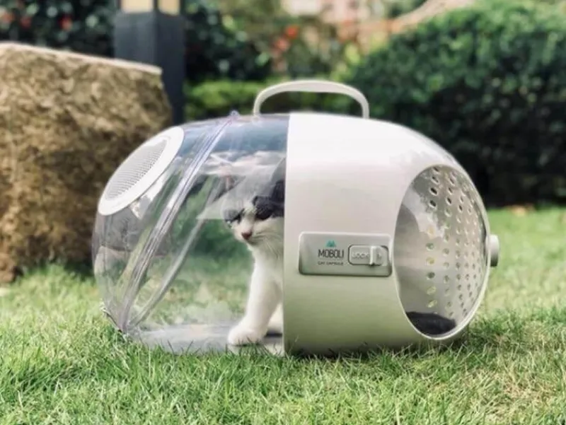 Decor Haustierzubehör-Reisekapsel für Haustiere – atmungsaktive, tragbare Transportbox für Katzen und Hunde