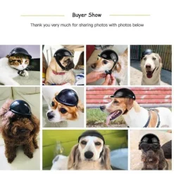 Decor Haustierzubehör-Reithelm für Haustiere – Stilvolle Sicherheitsausrüstung für Haustiere