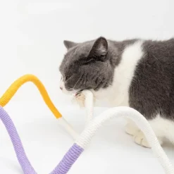 TailTrend Haustierspielzeug-Robustes Kauseilspielzeug für Katzen – spannendes und lustiges Beißspielzeug für Katzen