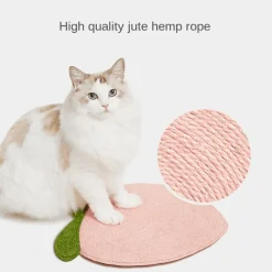 TailTrend Haustierspielzeug-Robustes Kratzbrett in Mandarine für spielerische Entspannung und gesunde Krallen