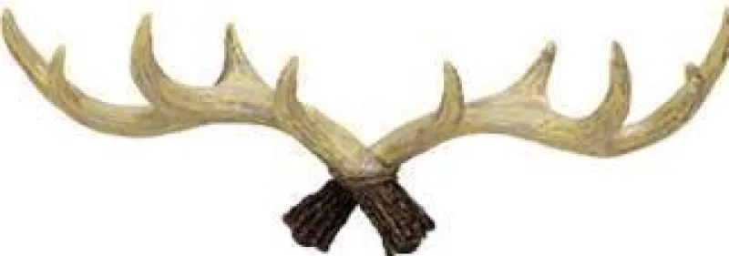 The Gilded Nest Wohndeko-Rustikaler Kleiderhaken aus Geweih – Charmante Wanddekoration für Ihr Zuhause