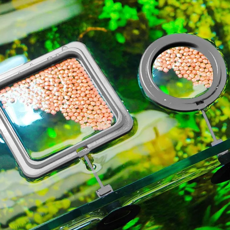 Comfort u0026 Style Haustierzubehör|Reinigungswerkzeuge Für Haustiere-Schwimmendes Fischfuttertablett – Kreatives Aquariumzubehör