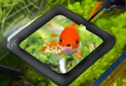 Comfort u0026 Style Haustierzubehör|Reinigungswerkzeuge Für Haustiere-Schwimmendes Fischfuttertablett – Kreatives Aquariumzubehör