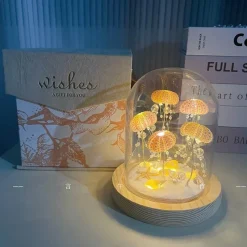 Glow u0026 Shade Beleuchtung-Seeigel-Nachtlicht – Einzigartige DIY-Heimdekoration