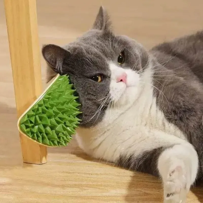 TailTrend Haustierspielzeug-Selbstpflegewerkzeug für Katzen – Innovativer Durian Corner Groomer