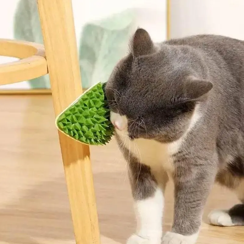 TailTrend Haustierspielzeug-Selbstpflegewerkzeug für Katzen – Innovativer Durian Corner Groomer