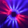 Willow u0026 Whim Beleuchtung-Soundaktiviertes Disco-Laserlicht – Party-Show-Lampe