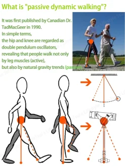 The Relaxation Nook Mobilitäts- Und Support-Tools|Gesundheits-Gadgets-Stützstock für Senioren - Gehhilfe für ältere Menschen