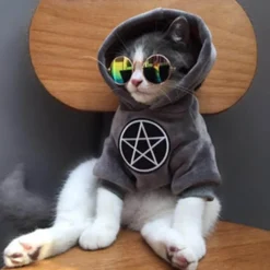 Decor Haustierzubehör-Stylischer Hunde-Hoodie - Gemütliches Haustier-Sweatshirt