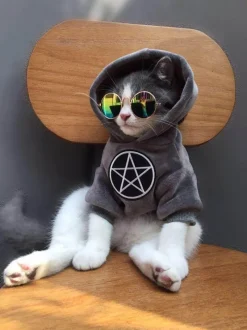 Decor Haustierzubehör-Stylischer Hunde-Hoodie - Gemütliches Haustier-Sweatshirt