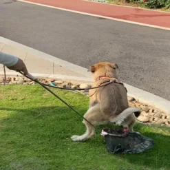 Furendo Haustierzubehör|Reinigungswerkzeuge Für Haustiere-Teleskop-Haustierkotschaufel - Werkzeug zur Kotschaufel für den Außenbereich
