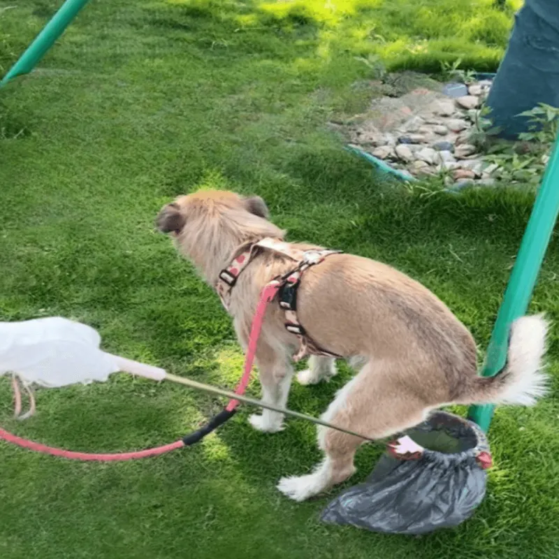 Furendo Haustierzubehör|Reinigungswerkzeuge Für Haustiere-Teleskop-Haustierkotschaufel - Werkzeug zur Kotschaufel für den Außenbereich