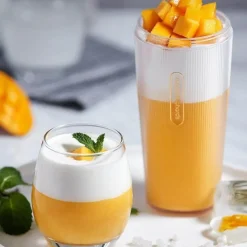 Deco Küche & Esszimmer-Tragbarer elektrischer Entsafter - Automatischer Fruchtextraktor