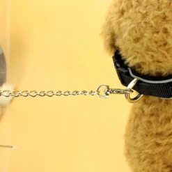 Furendo Haustierzubehör|Reinigungswerkzeuge Für Haustiere-Transparenter Haustier-Regenschirm – Kreatives Accessoire zum Gassigehen mit dem Hund